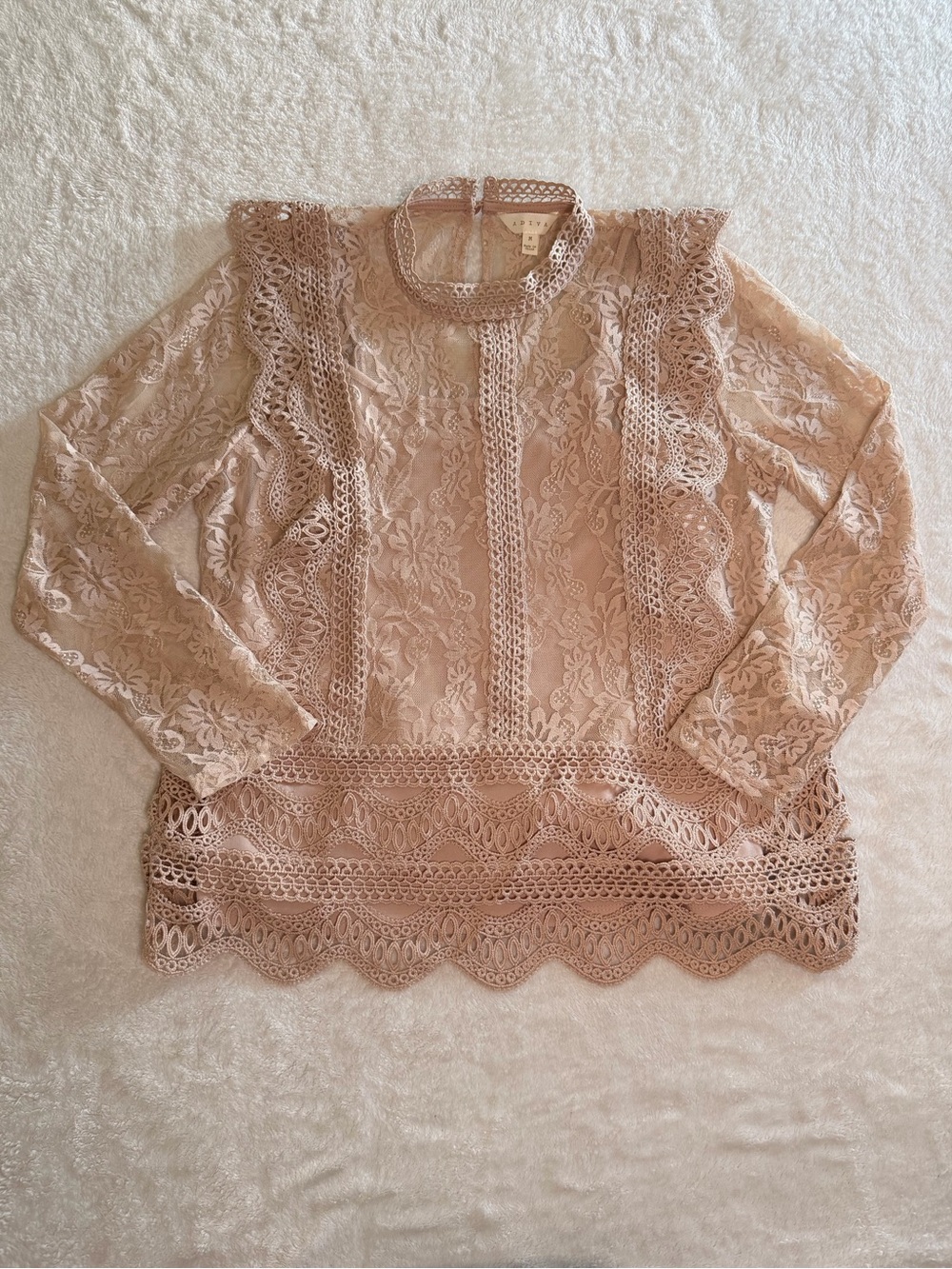 Adiva Blush Lace Ruffle High-Neck Blouse